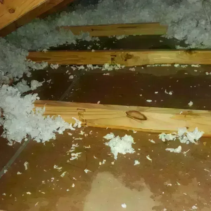 Attic Water Damage in Leechburg, PA